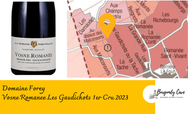 Arrive this week: Bordering La Tache, Forey Vosne Romanee Les Gaudichots 1er Cru 2023