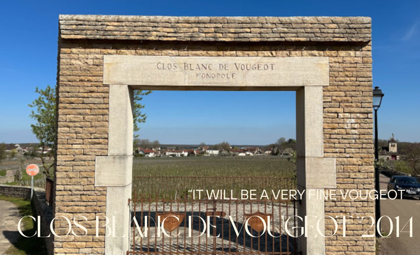 The White Wine Hiding Inside a Red Grand Cru: Vougeraie Clos Blanc de Vougeot 2014