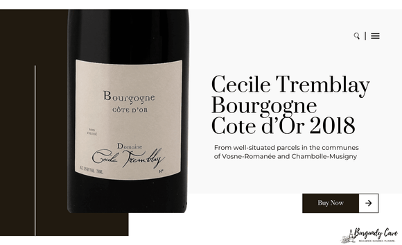 From Vosne-Romanee & Chambolle-Musigny: Rare 1.5L of Cecile Tremblay Bourgogne Rouge Cote d’Or 2018