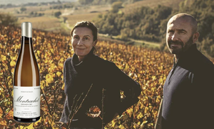 RARE: 2017 Marc Colin Montrachet Grand Cru