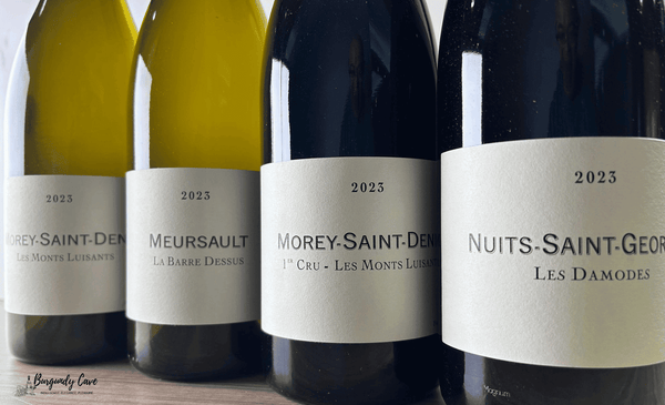 Immediately Available, The New Era of Frederic Cossard in 2023