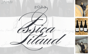 Last Chance with 7% Off: A New Star, Jessica Litaud 2023