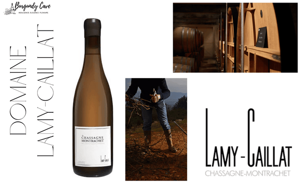 10% Off: Lamy-Caillat Parcel of Chassagne Montrachet and Saint-Aubin en l'Ebaupin