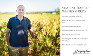 New Additions of Vincent Dancer Reds and Whites