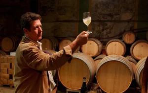 📢10% OFF: Old Disgorged Jacques Selosse from 2004