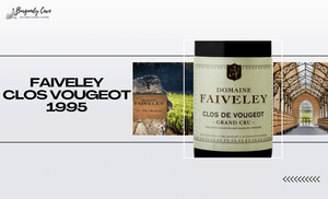 A Mature Beauty: 1995 Faiveley Clos Vougeot Grand Cru