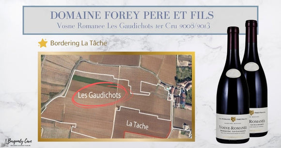 Bordering La Tâche, Mature Forey Vosne-Romanée Les Gaudichots 1er Cru 2008 & 2013