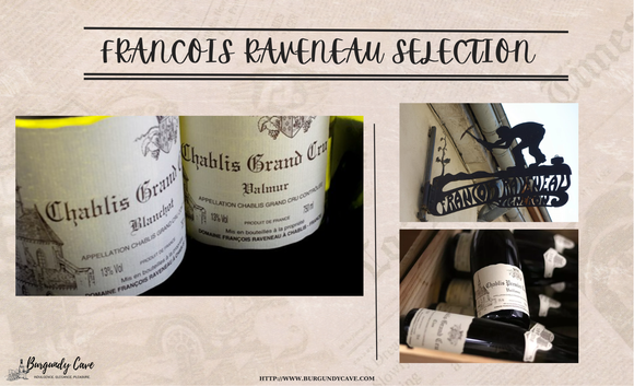 Francois Raveneau Selection From 1998 to 2020