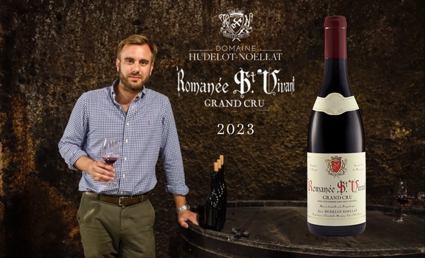 💥Bundle Deal, 35% Below Market! 96-98pts Hudelot Noellat RSV 2023