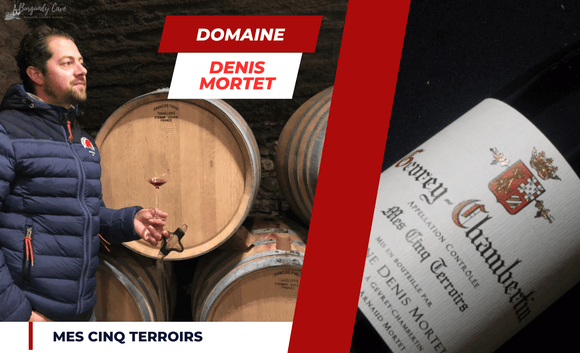 📢 Special Prices: Mature Denis Mortet Gevrey Chambertin Mes Cinq Terroirs