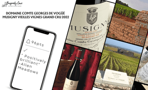 96pts Allen Meadows, Comte Georges de Vogüé Musigny 2022