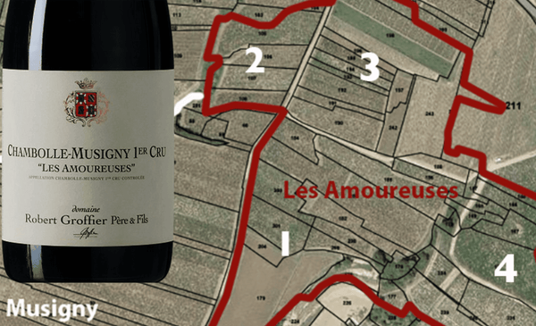 ❤️Amoureuses from Robert Groffier, Just 1pts below Georges de Vogüe