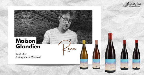 New: Tino Kuban's Glandien