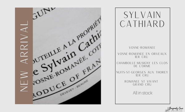 📢Don't Miss! New Arrival from Sylvain Cathiard