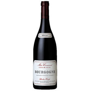 Meo Camuzet Bourgogne Rouge 2005 (1*75cl)