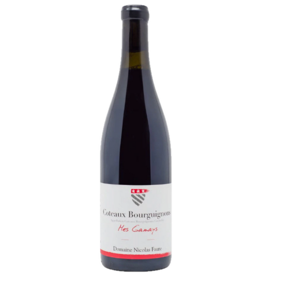 Nicolas Faure Coteaux Bourguignons Mes Gamay 2020 (1*75cl)