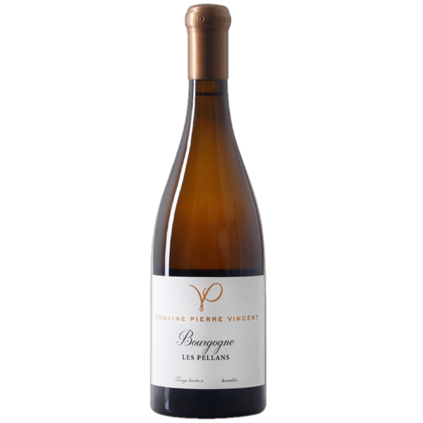 Pierre Vincent Bourgogne Les Pellans 2024  (1*75cl)